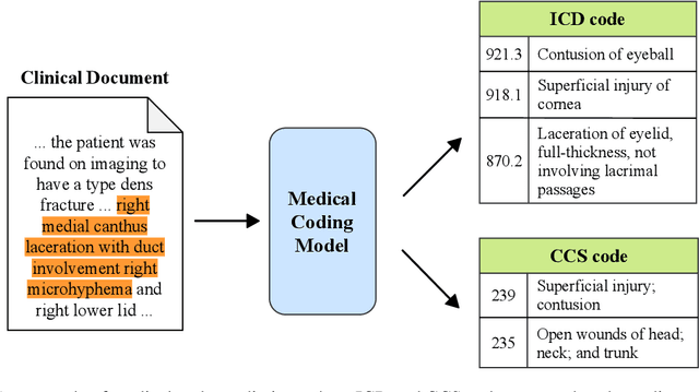 Figure 1 for Multitask Recalibrated Aggregation Network for Medical Code Prediction