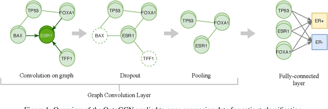 Figure 1 for Using ontology embeddings for structural inductive bias in gene expression data analysis