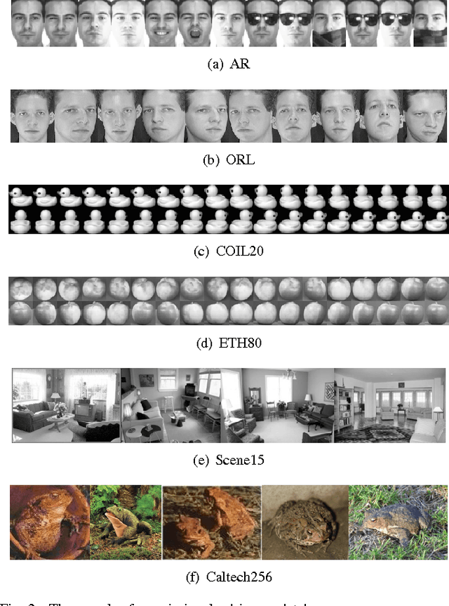 Figure 2 for Regression-based Hypergraph Learning for Image Clustering and Classification