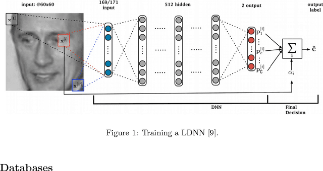 Figure 1 for Local Deep Neural Networks for Age and Gender Classification