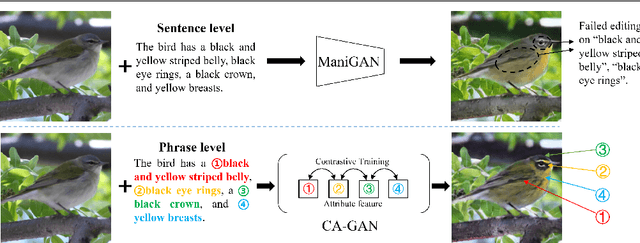 Figure 1 for Each Attribute Matters: Contrastive Attention for Sentence-based Image Editing