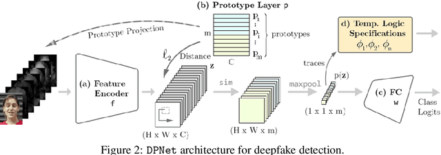 Figure 3 for Interpretable Deepfake Detection via Dynamic Prototypes