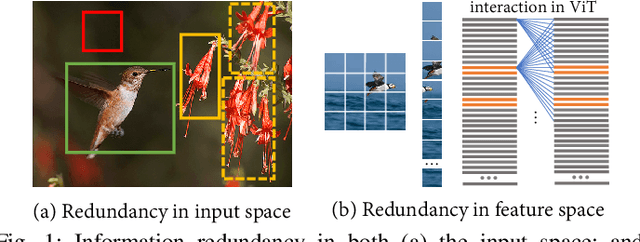 Figure 1 for R2-Trans:Fine-Grained Visual Categorization with Redundancy Reduction