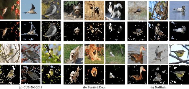 Figure 3 for R2-Trans:Fine-Grained Visual Categorization with Redundancy Reduction
