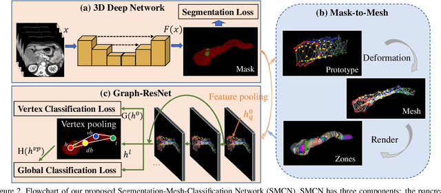 Figure 3 for 3D Graph Anatomy Geometry-Integrated Network for Pancreatic Mass Segmentation, Diagnosis, and Quantitative Patient Management