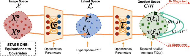 Figure 4 for Equivariance Allows Handling Multiple Nuisance Variables When Analyzing Pooled Neuroimaging Datasets