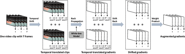 Figure 1 for Boosting the Transferability of Video Adversarial Examples via Temporal Translation