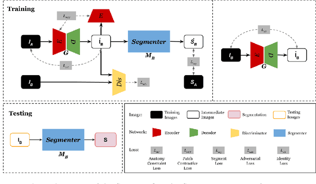 Figure 1 for Anatomy-Constrained Contrastive Learning for Synthetic Segmentation without Ground-truth