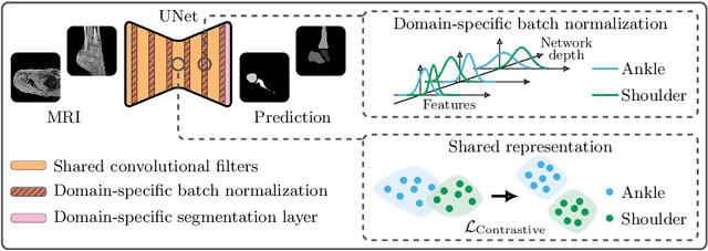 Figure 1 for Multi-Task, Multi-Domain Deep Segmentation with Shared Representations and Contrastive Regularization for Sparse Pediatric Datasets