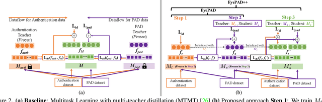 Figure 3 for EyePAD++: A Distillation-based approach for joint Eye Authentication and Presentation Attack Detection using Periocular Images