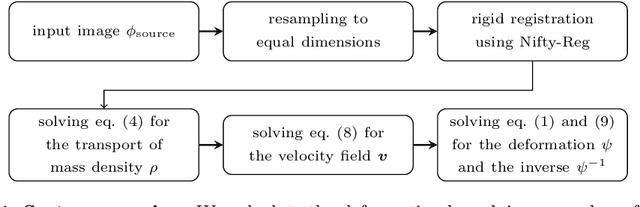 Figure 1 for FastReg: Fast Non-Rigid Registration via Accelerated Optimisation on the Manifold of Diffeomorphisms
