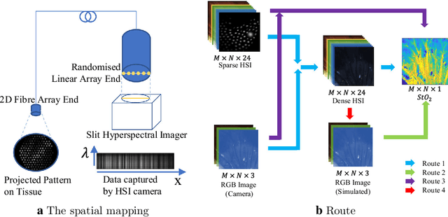 Figure 1 for Estimation of Tissue Oxygen Saturation from RGB images and Sparse Hyperspectral Signals based on Conditional Generative Adversarial Network