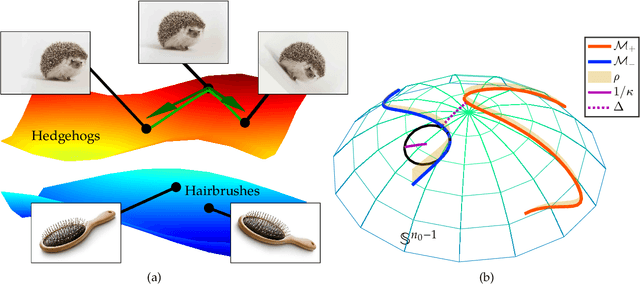 Figure 1 for Deep Networks and the Multiple Manifold Problem