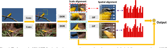 Figure 1 for Spatial-Scale Aligned Network for Fine-Grained Recognition