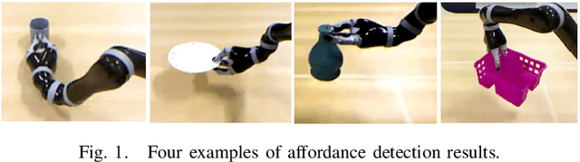 Figure 1 for Object Perception and Grasping in Open-Ended Domains