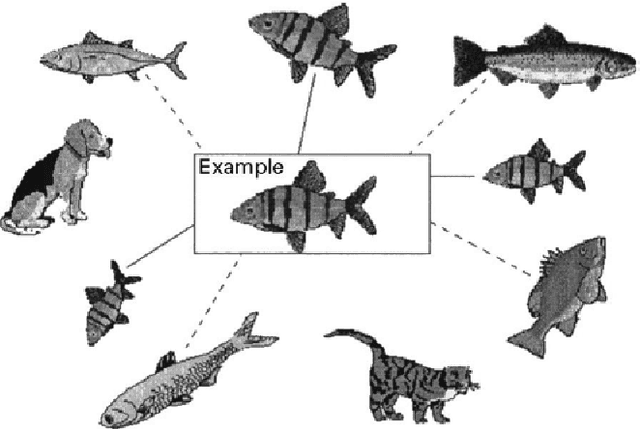 Figure 3 for Template Matching Advances and Applications in Image Analysis