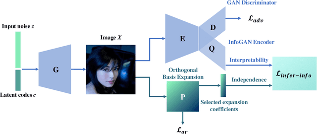 Figure 1 for Inference-InfoGAN: Inference Independence via Embedding Orthogonal Basis Expansion