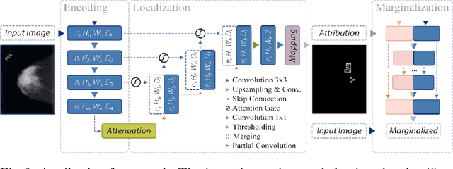 Figure 3 for Domain aware medical image classifier interpretation by counterfactual impact analysis