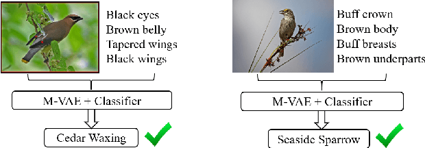 Figure 1 for Generalized Zero-Shot Learning using Multimodal Variational Auto-Encoder with Semantic Concepts
