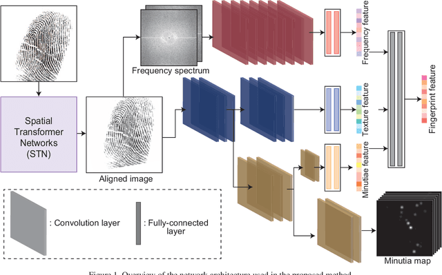 Figure 1 for Fingerprint Feature Extraction by Combining Texture, Minutiae, and Frequency Spectrum Using Multi-Task CNN