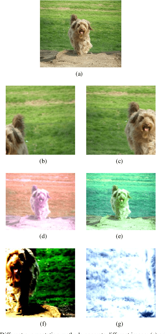 Figure 1 for Partitioning Image Representation in Contrastive Learning