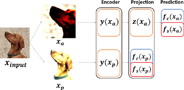 Figure 3 for Partitioning Image Representation in Contrastive Learning