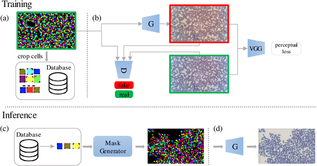 Figure 3 for Red blood cell image generation for data augmentation using Conditional Generative Adversarial Networks