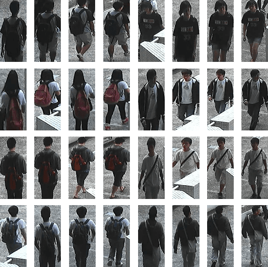 Figure 1 for Integrating Coarse Granularity Part-level Features with Supervised Global-level Features for Person Re-identification