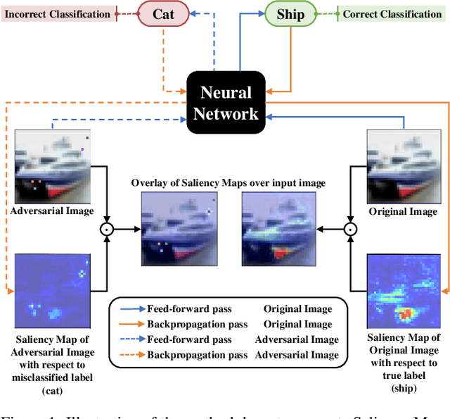 Figure 1 for Deep neural network loses attention to adversarial images