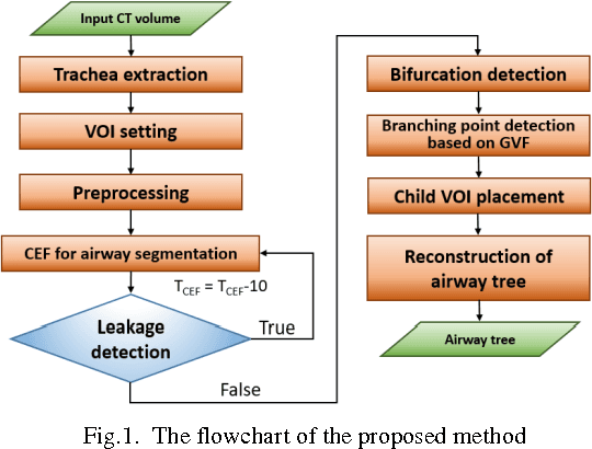 Figure 1 for Airway segmentation from 3D chest CT volumes based on volume of interest using gradient vector flow