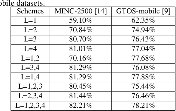 Figure 4 for Multi-level Texture Encoding and Representation (MuLTER) based on Deep Neural Networks