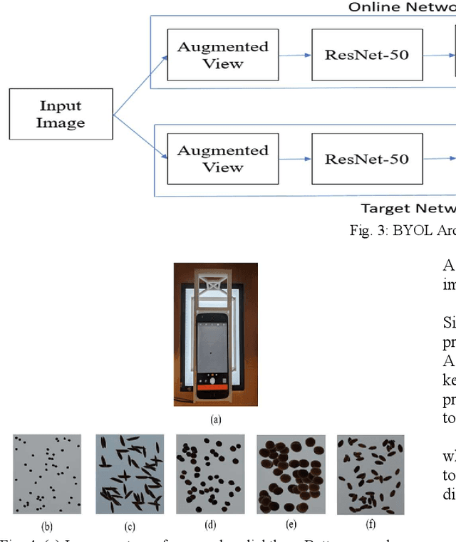 Figure 1 for Classification of Seeds using Domain Randomization on Self-Supervised Learning Frameworks