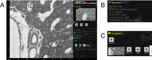 Figure 2 for Development of Semantic Web-based Imaging Database for Biological Morphome