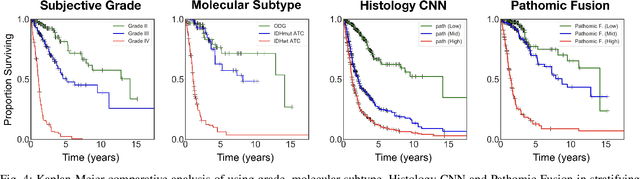 Figure 4 for Pathomic Fusion: An Integrated Framework for Fusing Histopathology and Genomic Features for Cancer Diagnosis and Prognosis