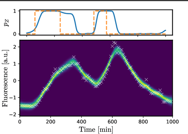 Figure 3 for Markov Chain Monte Carlo for Continuous-Time Switching Dynamical Systems