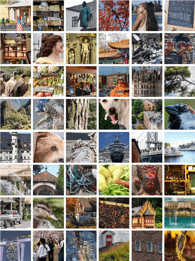 Figure 2 for Image Quality Assessment for Perceptual Image Restoration: A New Dataset, Benchmark and Metric