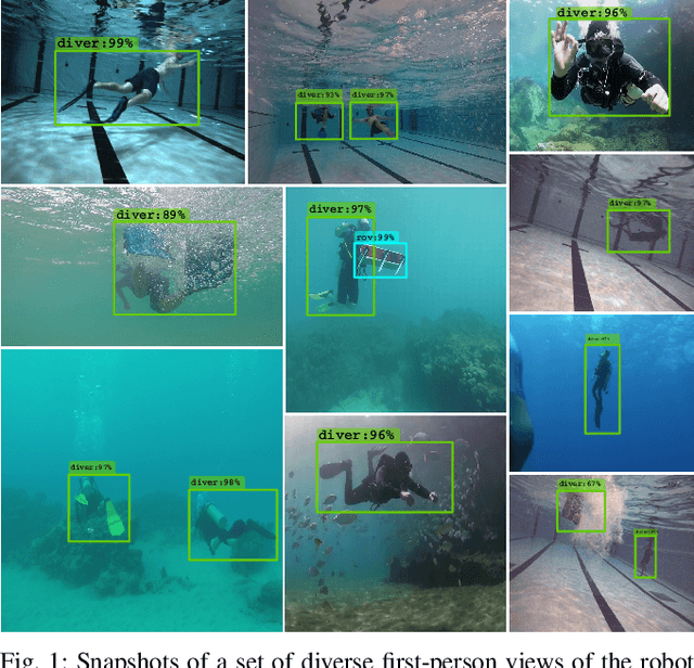 Figure 1 for Towards a Generic Diver-Following Algorithm: Balancing Robustness and Efficiency in Deep Visual Detection