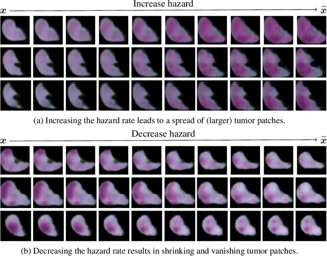 Figure 3 for Towards modelling hazard factors in unstructured data spaces using gradient-based latent interpolation