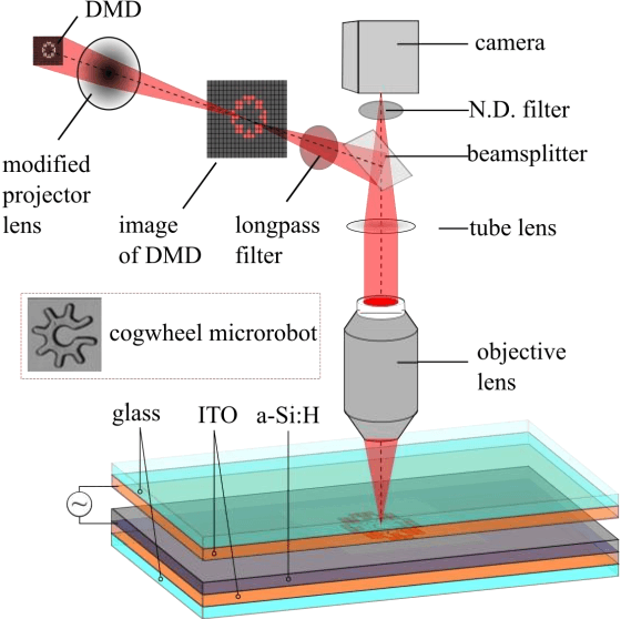 Figure 1 for Autonomous object harvesting using synchronized optoelectronic microrobots