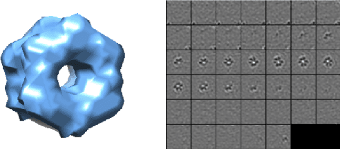 Figure 3 for Multi-task Learning for Macromolecule Classification, Segmentation and Coarse Structural Recovery in Cryo-Tomography