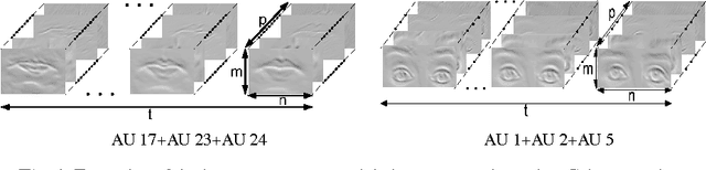 Figure 1 for Analysis, Interpretation, and Recognition of Facial Action Units and Expressions Using Neuro-Fuzzy Modeling