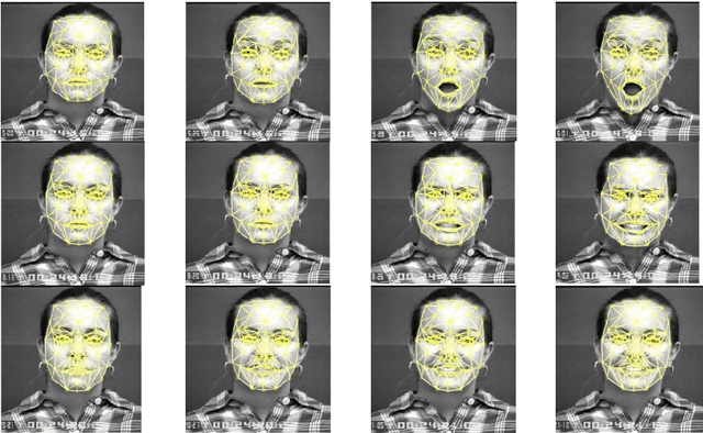 Figure 3 for Analysis, Interpretation, and Recognition of Facial Action Units and Expressions Using Neuro-Fuzzy Modeling