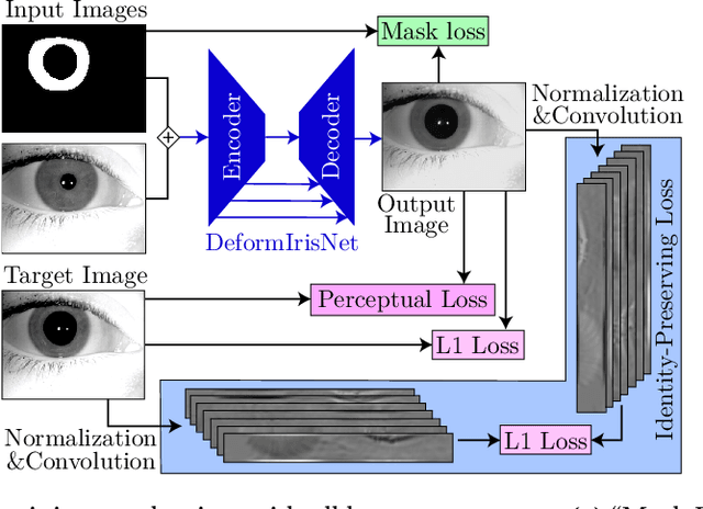 Figure 3 for DeformIrisNet: An Identity-Preserving Model of Iris Texture Deformation