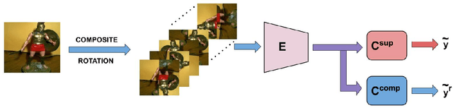 Figure 3 for Improving Few-Shot Learning using Composite Rotation based Auxiliary Task