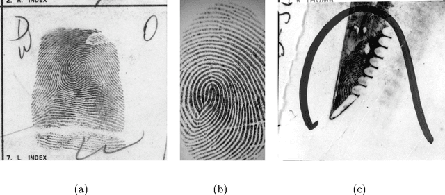 Figure 1 for A Fully Automated Latent Fingerprint Matcher with Embedded Self-learning Segmentation Module