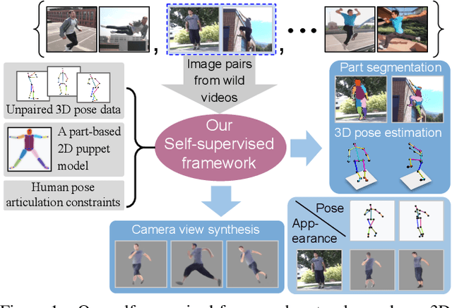 Figure 1 for Self-Supervised 3D Human Pose Estimation via Part Guided Novel Image Synthesis
