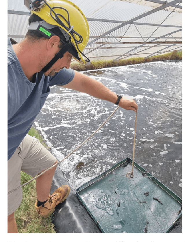 Figure 3 for Smart Headset, Computer Vision and Machine Learning for Efficient Prawn Farm Management