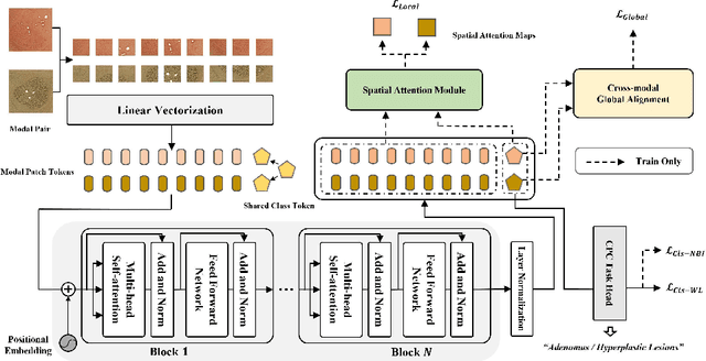 Figure 1 for Toward Clinically Assisted Colorectal Polyp Recognition via Structured Cross-modal Representation Consistency