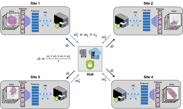 Figure 1 for Federated Learning for Computational Pathology on Gigapixel Whole Slide Images