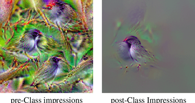 Figure 3 for Saliency-driven Class Impressions for Feature Visualization of Deep Neural Networks